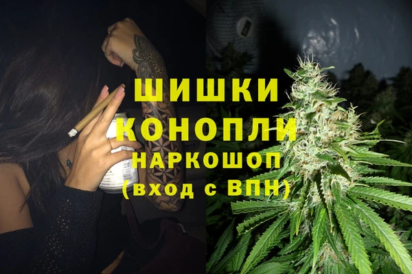 2c-b Козельск