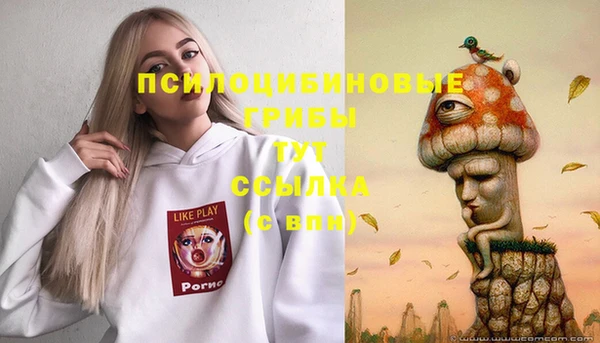 круглые Кодинск