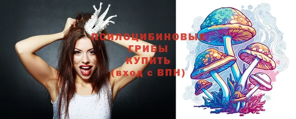 круглые Кодинск