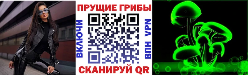 Купить где  Перевоз  Галлюциногенные грибы Psilocybe 