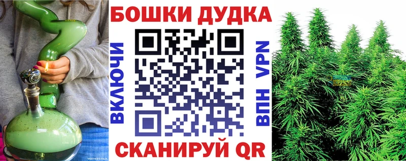 Купить где  Перевоз  Канабис семена 